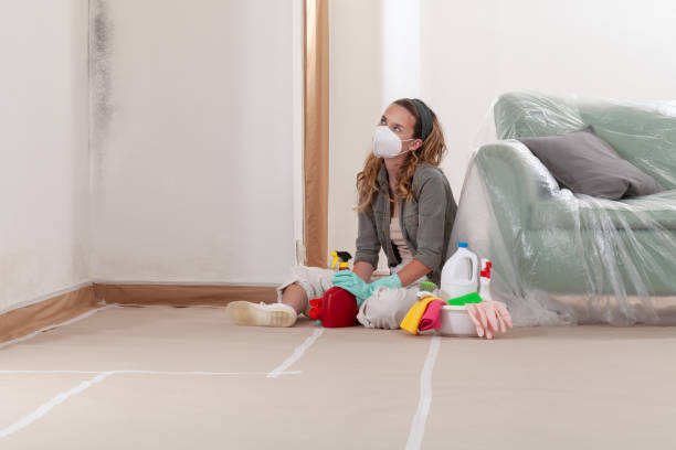 Trusted Attic Mold Removal service in Dover, TN - WQB Mold Removal